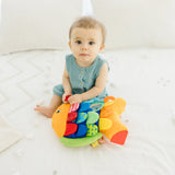 Baby Sensory Play Gift Bundle H3