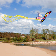 Beautiful Butterfly Kite I6