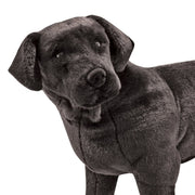 Black Lab Giant Stuffed Animal C4