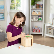Created by Me! Birdhouse Wooden Craft Kit U1