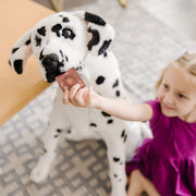 Dalmatian Giant Stuffed Animal Y3