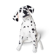 Dalmatian Giant Stuffed Animal Y3