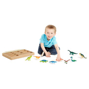 Dinosaur Party Play Set E2