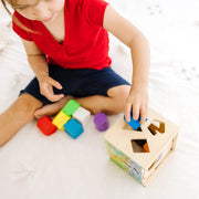 Disney Mickey Mouse & Friends Wooden Shape Sorting Cube D8