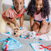 Examine & Treat Pet Vet Play Set T3