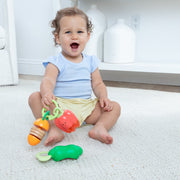 Farmers Market Veggie Rattles Trio N4