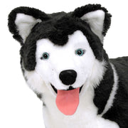 Husky Giant Stuffed Animal R0