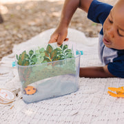 Let’s Explore Terrarium Observations Play Set N5