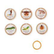 Let’s Explore Terrarium Observations Play Set N5