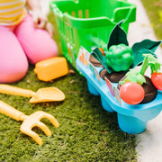 Let’s Explore Vegetable Gardening Play Set C3