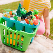 Let’s Explore Vegetable Gardening Play Set C3