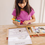 Natural Play: Play, Draw, Create Reusable Drawing & Magnet Kit – Dinosaurs Z5