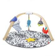 Ocean Easy-Fold Play Gym D6
