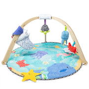 Ocean Easy-Fold Play Gym D6