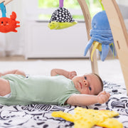 Ocean Easy-Fold Play Gym D6