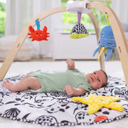 Ocean Easy-Fold Play Gym D6