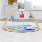 Ocean Easy-Fold Play Gym D6