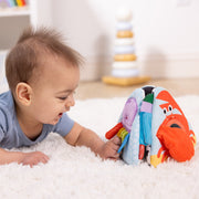 Ocean Tummy Time Triangle Baby Toy S1
