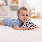 Ocean Tummy Time Triangle Baby Toy S1