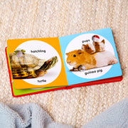 Poke-a-Dot: Pet Families Board Book E6