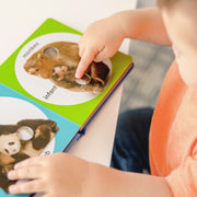 Poke-a-Dot: Wild Animal Families Board Book S9
