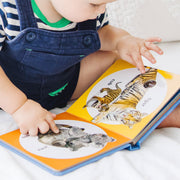 Poke-a-Dot: Wild Animal Families Board Book S9
