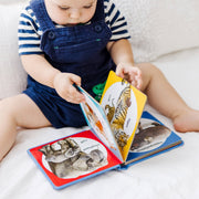 Poke-a-Dot: Wild Animal Families Board Book S9