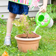 Pretty Petals Watering Can K8