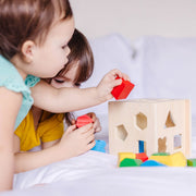 Shape-Sorting Cube A6