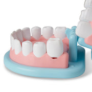 Super Smile Dentist Play Set C7
