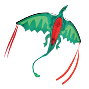 Winged Dragon Shaped Kite Q3