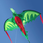 Winged Dragon Shaped Kite Q3