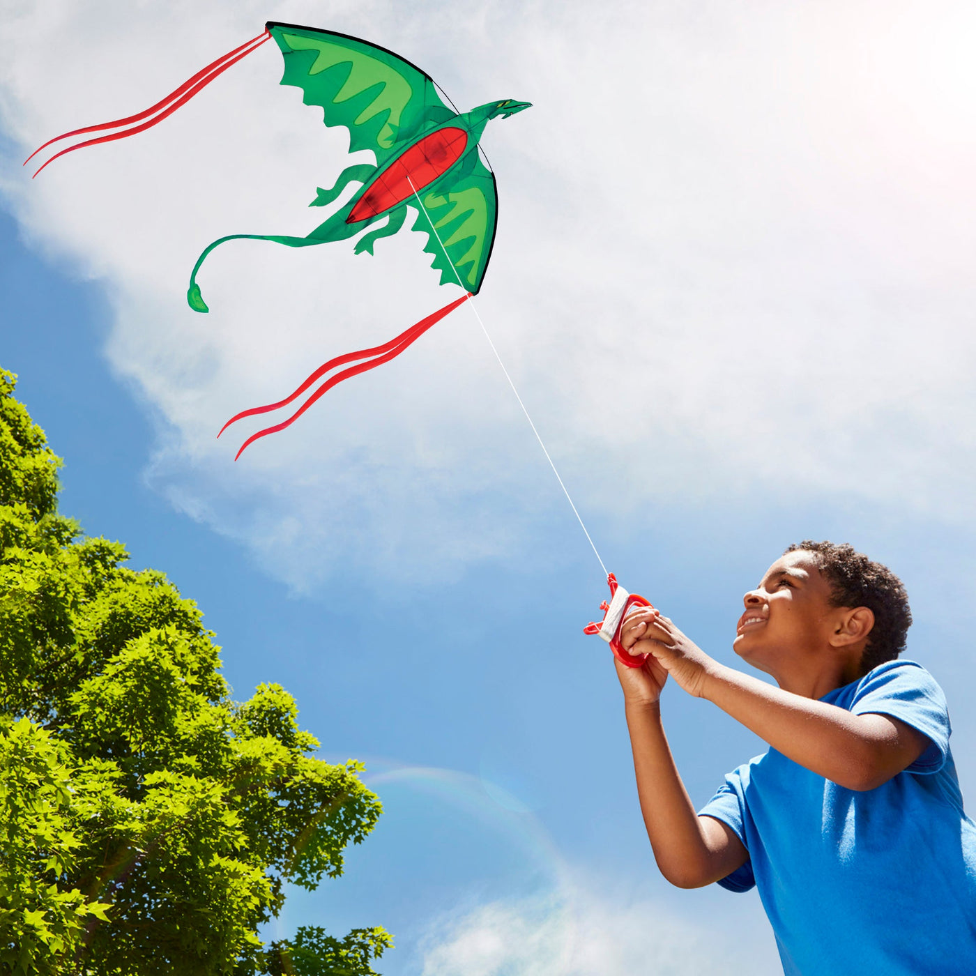 Winged Dragon Shaped Kite Q3