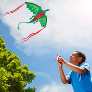 Winged Dragon Shaped Kite Q3