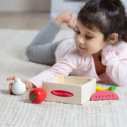 Wooden Food Groups Play Set – Produce U4